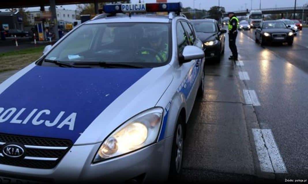 Bezpieczny zakup choinek – akcja „Choinka 2025”