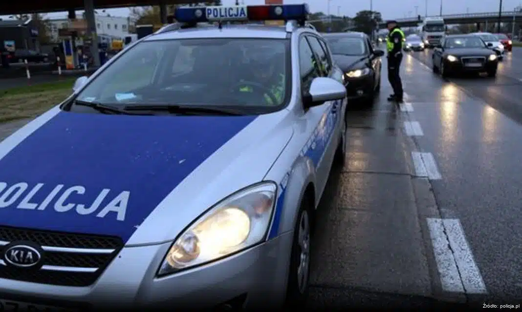 Bezpieczny zakup choinek – akcja „Choinka 2025”