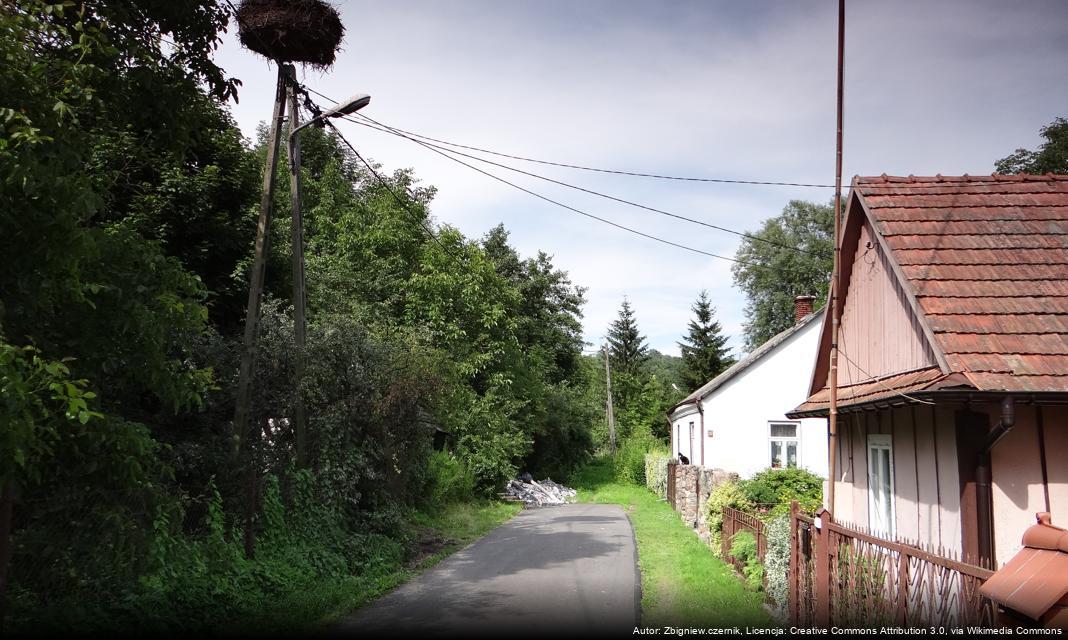 Nagrody i stypendia burmistrza Polic wręczone